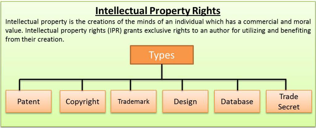 Save Archives from Instagram Intellectual Property Rights