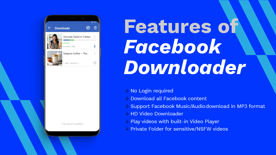 AhaSave Facebook Downloader Features