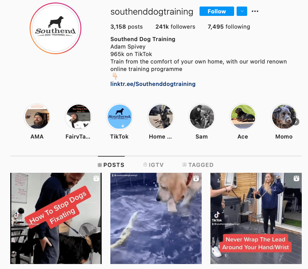 dog trainer instagram