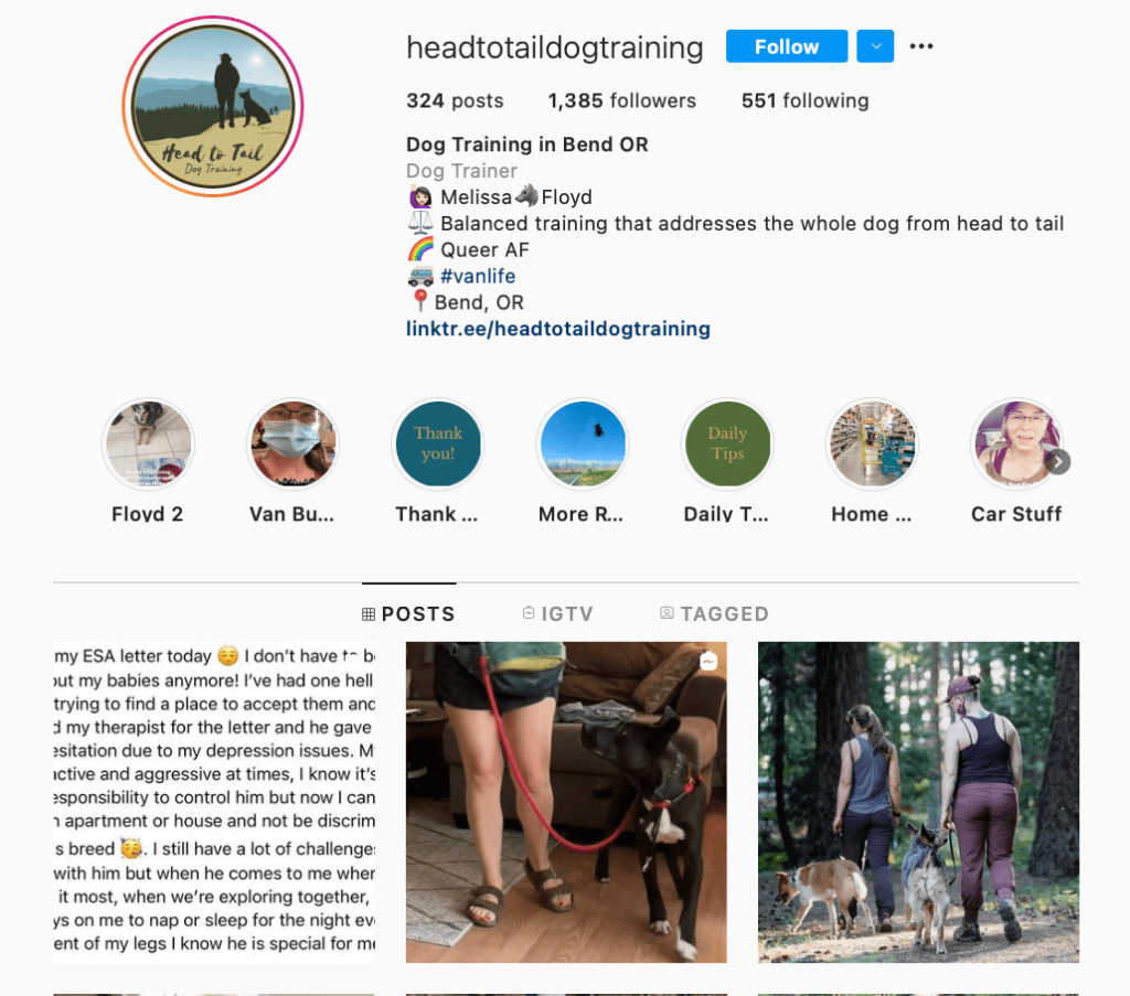 dog trainer instagram