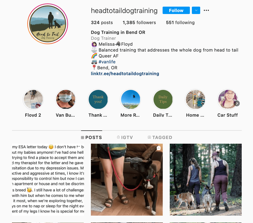 Top 6 Dog Trainers to Follow on Instagram AhaSave