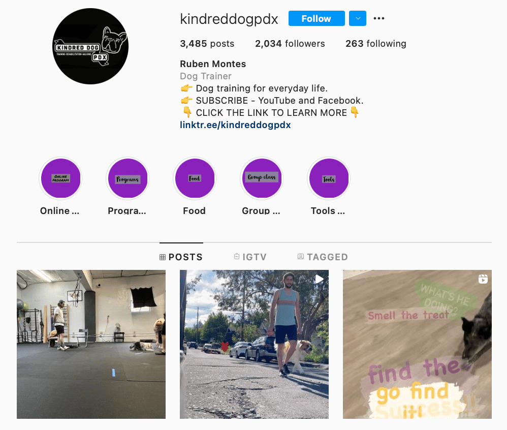 dog trainer instagram