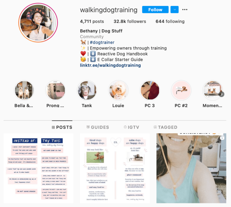 Top 6 Dog Trainers to Follow on Instagram AhaSave