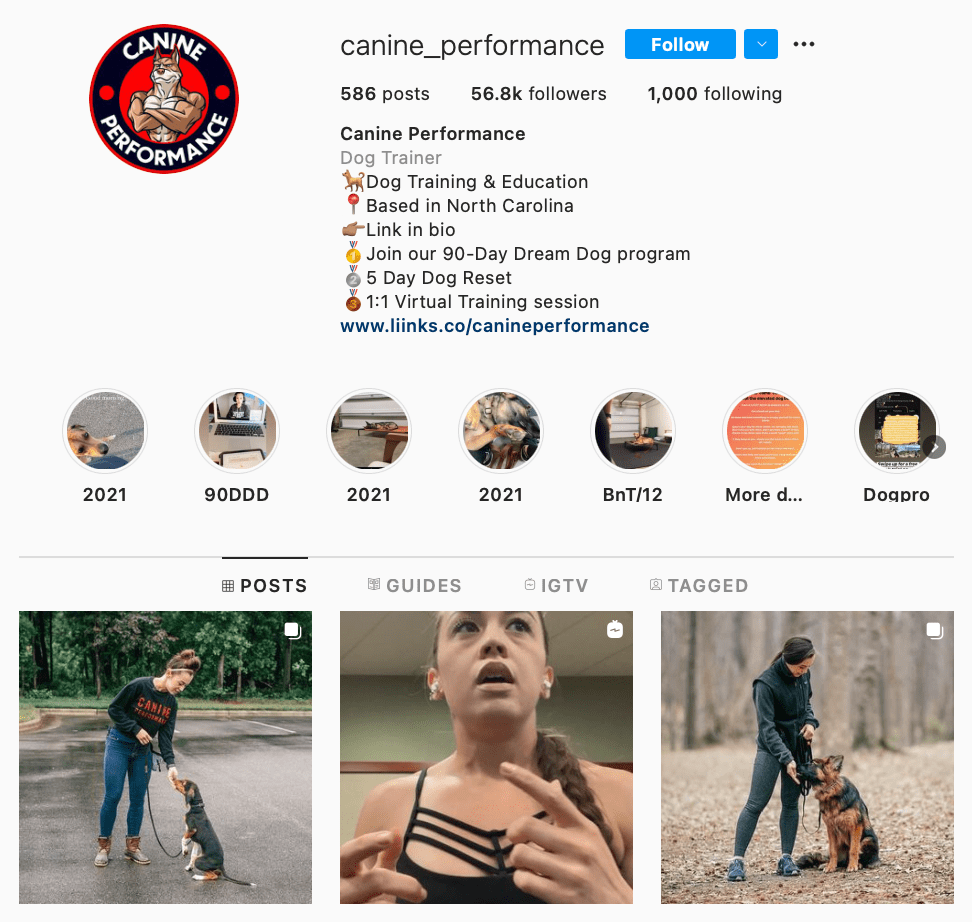 dog trainer instagram