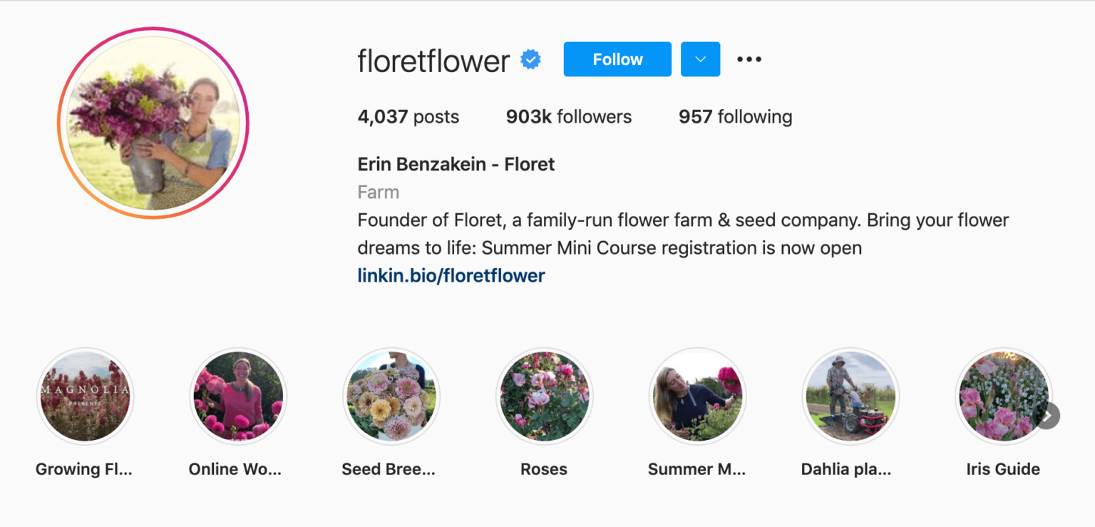 Best 11 Floral Accounts on Instagram AhaSave