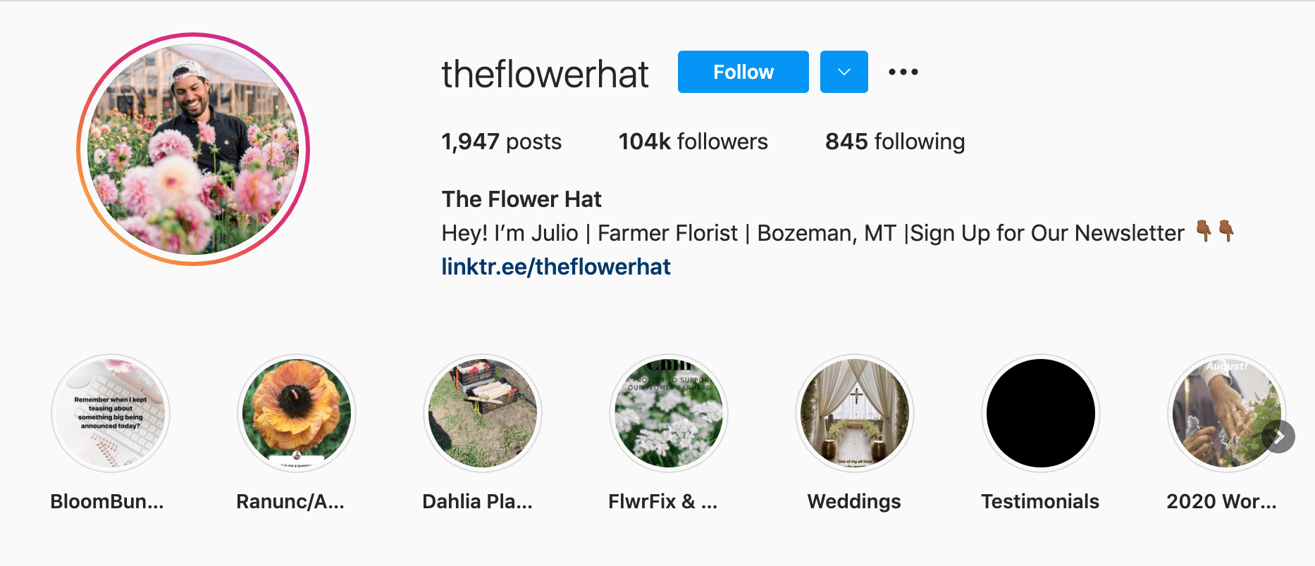 Best 11 Floral Accounts on Instagram AhaSave