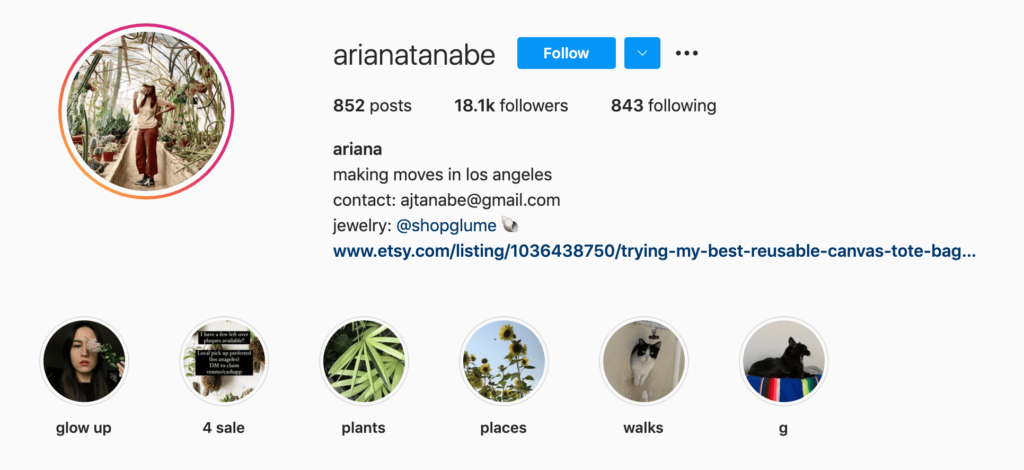 Top 6 Plant Lovers Instagram Accounts