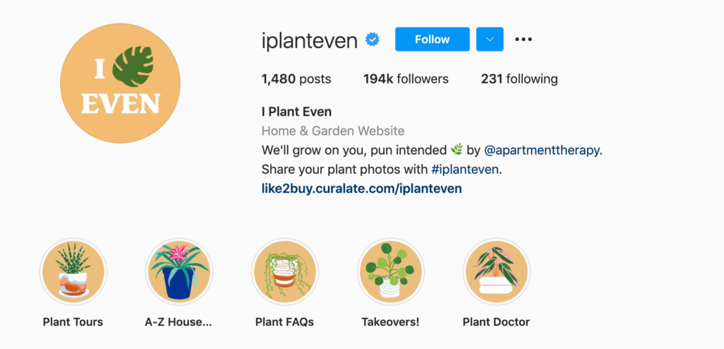 Top 6 Plant Lovers Instagram Accounts