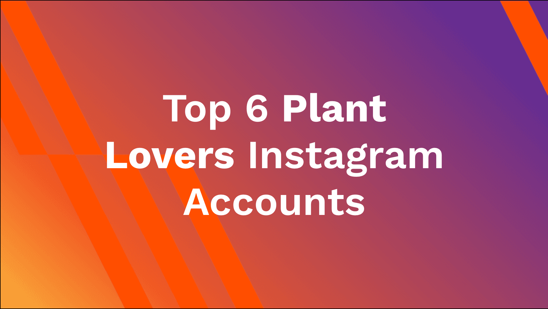 Top 6 Plant Lovers Instagram Accounts