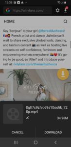 How to Download OnlyFans Videos? - AhaSave