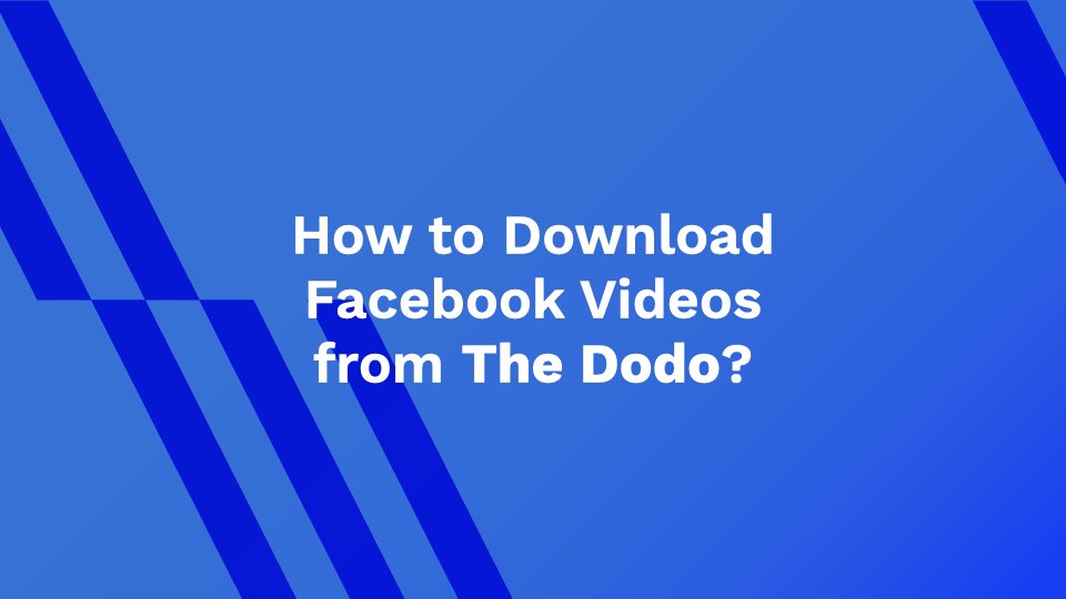 How to Download Facebook Videos from The Dodo?