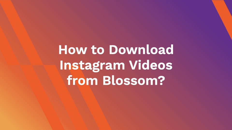 Download Facebook Videos from blossom