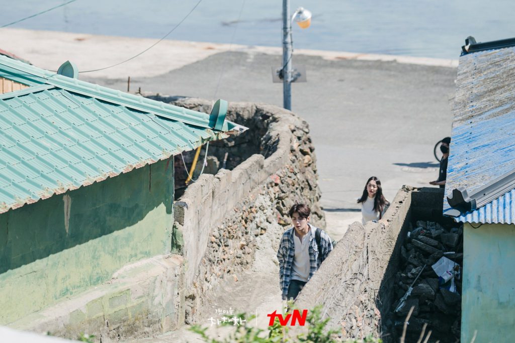 Download drama korea komedi drakor home town cha cha cha Ahasave all video downloader6