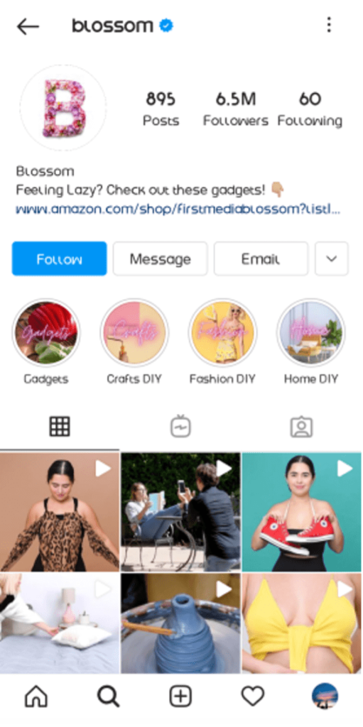 Download Instagram Videos from Blossom Instagram page