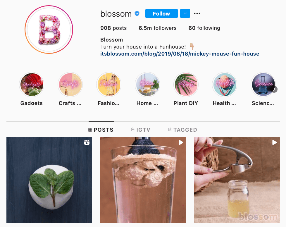 Download Instagram Videos from Blossom Instagram
