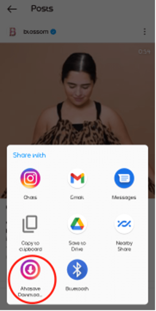 Download Instagram Videos from Blossom Instagram page share