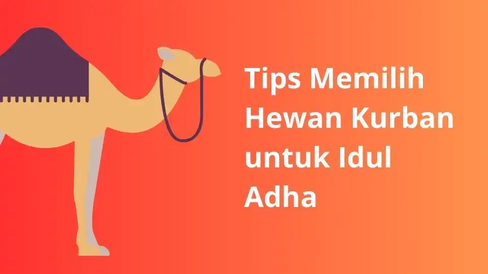 Tips Memilih Hewan Qurban